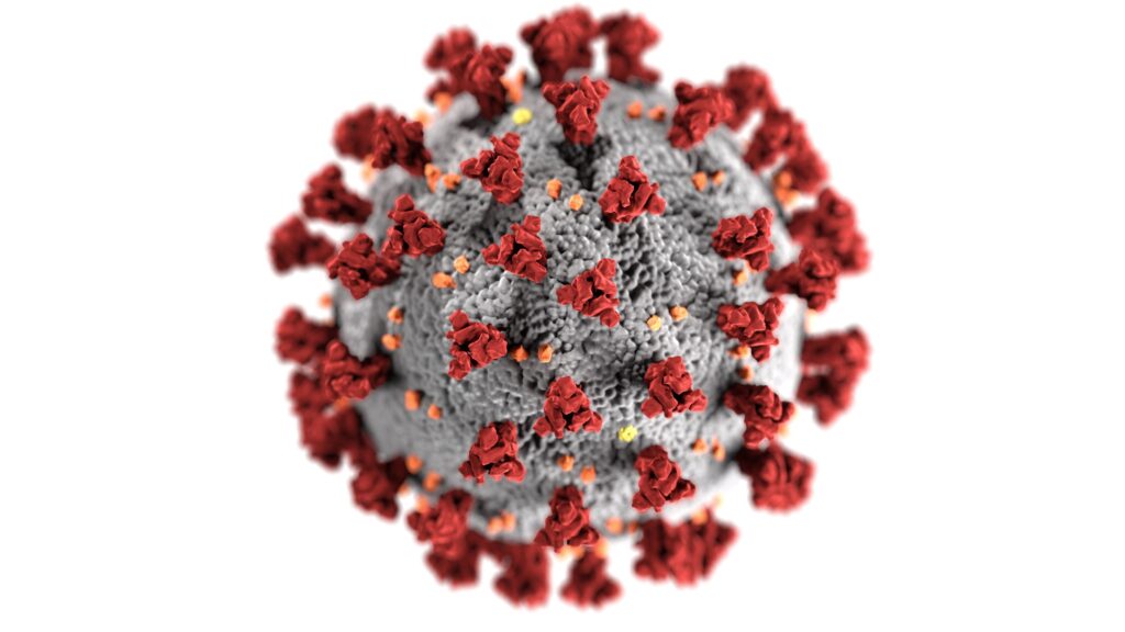 COVID Virus